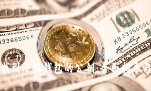 如何快速找到小狐钱包的公钥：全面指导与实用技巧