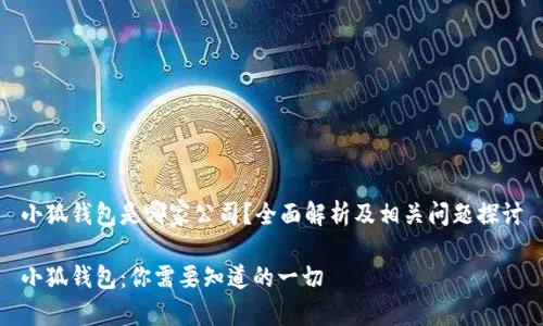 小狐钱包是哪家公司？全面解析及相关问题探讨

小狐钱包：你需要知道的一切