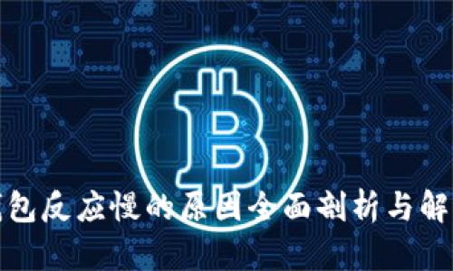 小狐钱包反应慢的原因全面剖析与解决方案