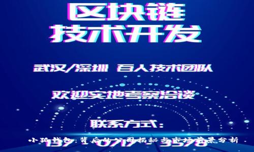   小狐钱包：背后的公司揭秘与市场前景分析