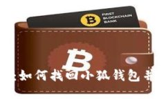 全面指南：如何找回小狐