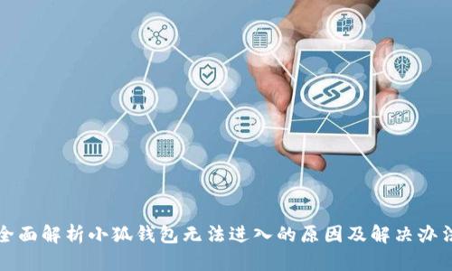 全面解析小狐钱包无法进入的原因及解决办法