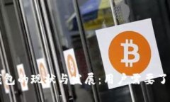 比特币钱包的现状与发展