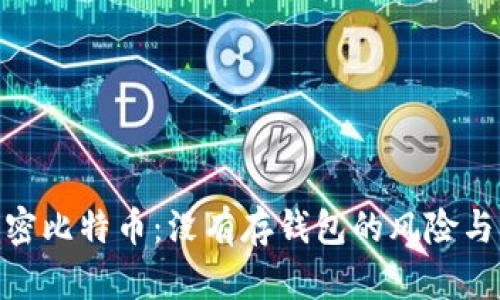 : 解密比特币：没有存钱包的风险与应对