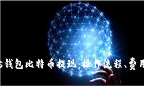 深度解析Plus钱包比特币提现：操作流程、费用、优势与风险