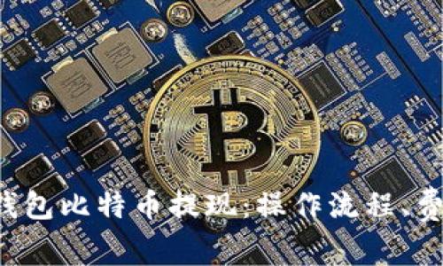 深度解析Plus钱包比特币提现：操作流程、费用、优势与风险