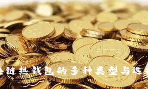 : 区块链热钱包的多种类型与选择指南