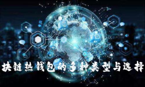 : 区块链热钱包的多种类型与选择指南
