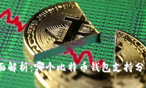 : 全面解析：哪个比特币钱包支持分叉币？