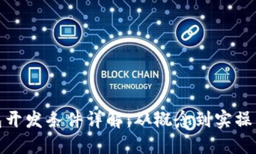 : 区块链钱包开发条件详解：从概念到实操的全方位指南