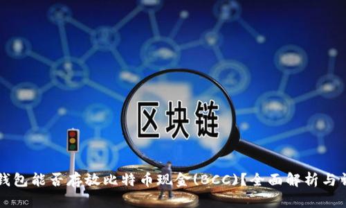 比特币钱包能否存放比特币现金(BCC)？全面解析与详尽指南