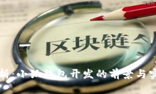 全面解析：小狐钱包开发的前景与实现细节