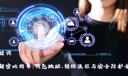 与关键词

彻底解密比特币：钱包地址、转账流程与安全防护全攻略