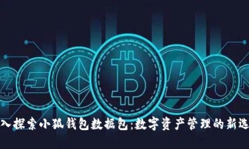 深入探索小狐钱包数据包：数字资产管理的新选择