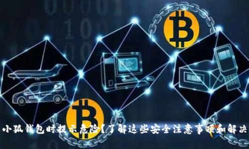 安装小狐钱包时提示危险？了解这些安全注意事项和解决方法