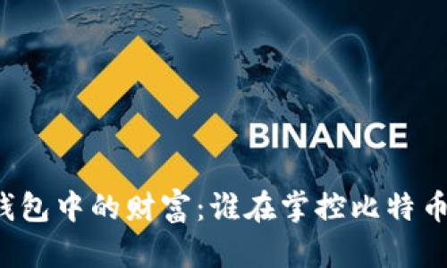 比特币钱包中的财富：谁在掌控比特币的未来？