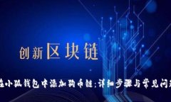 如何在小狐钱包中添加狗币链：详细步骤与常见