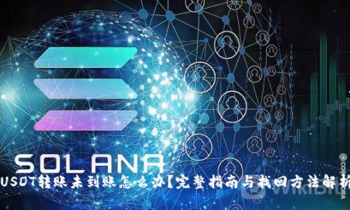 USDT转账未到账怎么办？完整指南与找回方法解析