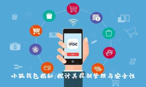 小狐钱包揭秘：探讨其私钥管理与安全性