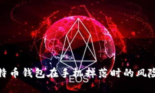 如何应对比特币钱包在手机掉落时的风险及保护措施