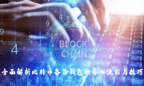 全面解析比特币备份钱包的导入流程与技巧