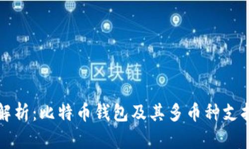 全面解析：比特币钱包及其多币种支持特点