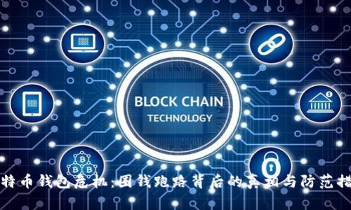 比特币钱包危机：圈钱跑路背后的真相与防范措施