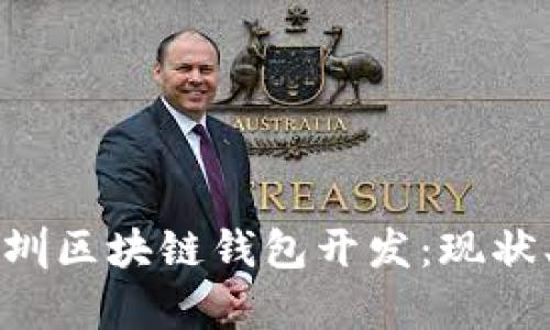 全面解析深圳区块链钱包开发：现状、挑战与未来