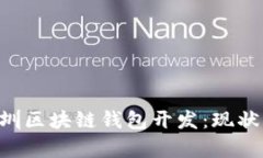 全面解析深圳区块链钱包开发：现状、挑战与未