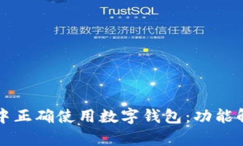 如何在区块链中正确使用数字钱包：功能解析与实操指南