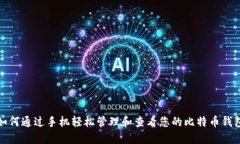 如何通过手机轻松管理和查看您的比特币钱包