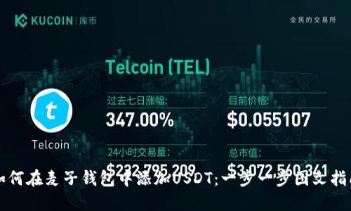 如何在麦子钱包中添加USDT：一步一步图文指南