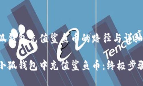 寻找小狐钱包充值鲨鱼币的路径与详细指南

如何在小狐钱包中充值鲨鱼币：终极步骤与技巧