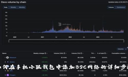 如何在手机小狐钱包中添加BSC网络的详细步骤
