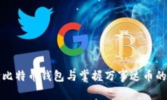 全面解读比特币钱包与掌握万事达币的使用技巧