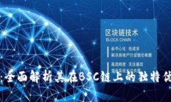 探索小狐钱包：全面解析其在BSC链上的独特优势