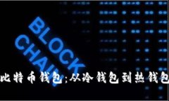 选择适合的比特币钱包：从冷钱包到热钱包的全