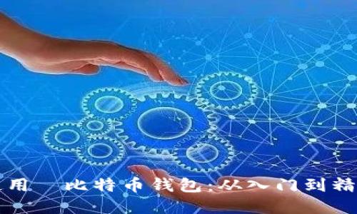 如何选择和使用犇比特币钱包：从入门到精通的全面指南