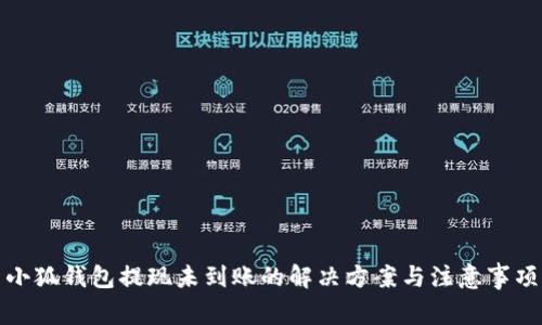 小狐钱包提现未到账的解决方案与注意事项