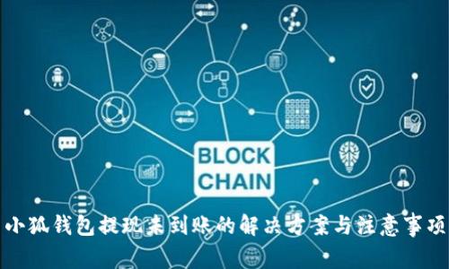 小狐钱包提现未到账的解决方案与注意事项