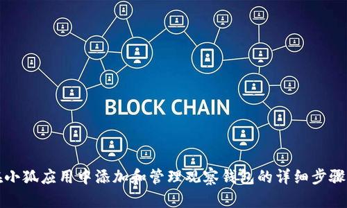 如何在小狐应用中添加和管理观察钱包的详细步骤与技巧