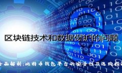 全面解析：比特币钱包平台的安全性及选购指南