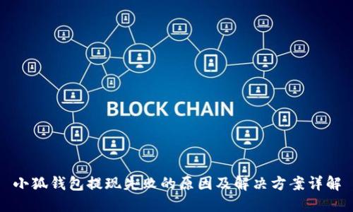 小狐钱包提现失败的原因及解决方案详解