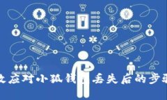 如何有效应对小狐钱包丢失后的步骤与建议