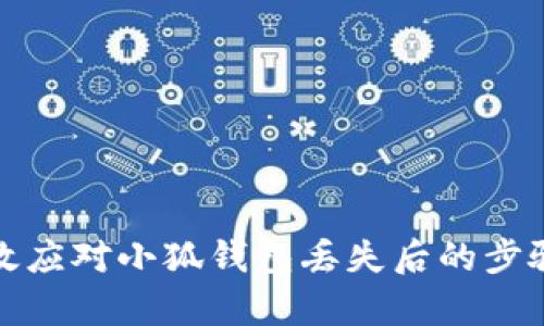如何有效应对小狐钱包丢失后的步骤与建议