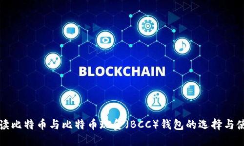 深入解读比特币与比特币现金（BCC）钱包的选择与使用技巧