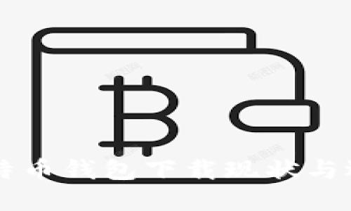 国内比特币钱包下载现状与选择指南