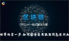探索区块链世界的第一步：如何安全使用狐狸钱
