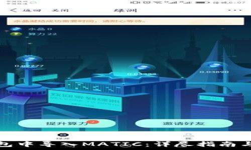   
如何在小狐钱包中导入MATIC：详尽指南与常见问题解答