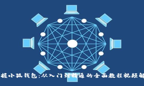 掌握小狐钱包：从入门到精通的全面教程视频解析